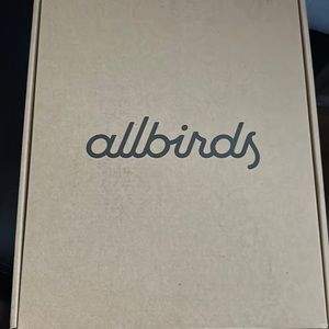 Mens Allbirds Tree Runner